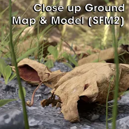 [SFM2] Close-Up detailed Garden/Forest Floor (Model & Map)