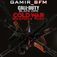 CoD Black Ops Cold War Weapons Pack