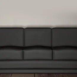 Anonymous' Couch