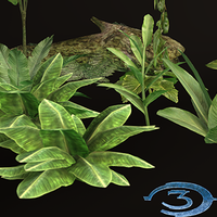 Halo 3: Jungle Foliage