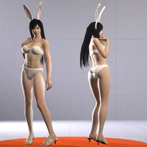 Thumbnail image for Dead Or Alive - Kokoro Bunny Outfit / Nude