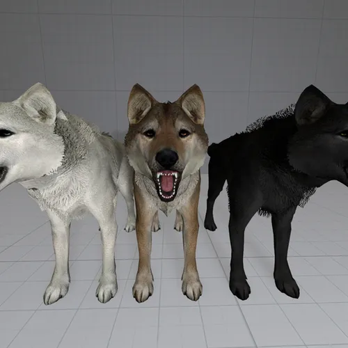 Thumbnail image for True Wolves of Skyrim Port