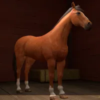 A Horse