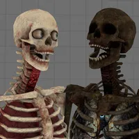 Skeletons + Body Parts (GMod Conversion)