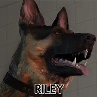 Riley From Call of Duty : Ghosts