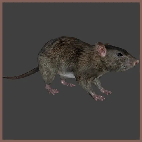 Thumbnail image for Rat [GTA V]