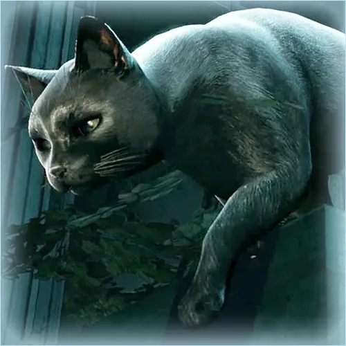 Thumbnail image for Cat [Murdered: Soul Suspect]