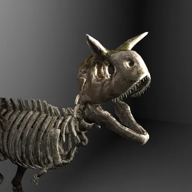 Skeletal Carnotaurus (Ark Survival Evolved)
