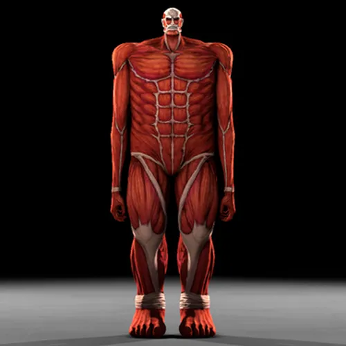 Thumbnail image for Colossal TItan (Aot: Wings of Freedom)