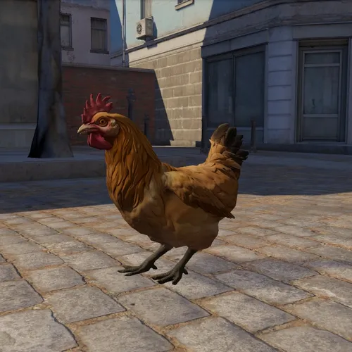Thumbnail image for Chicken