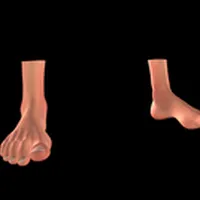 Blender Feet