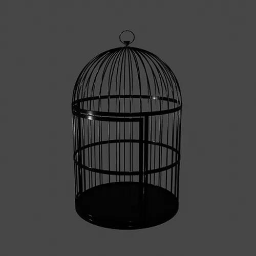 Thumbnail image for Birdcage