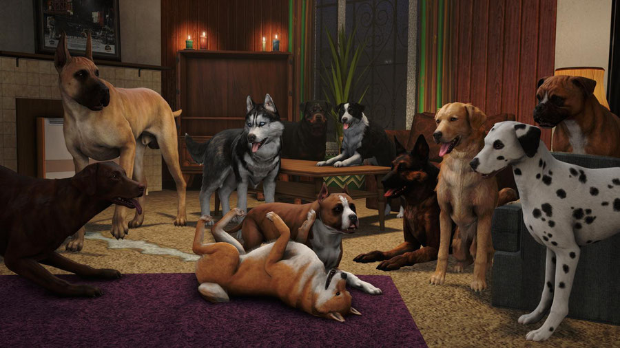 Fallout 4 Dog Pack