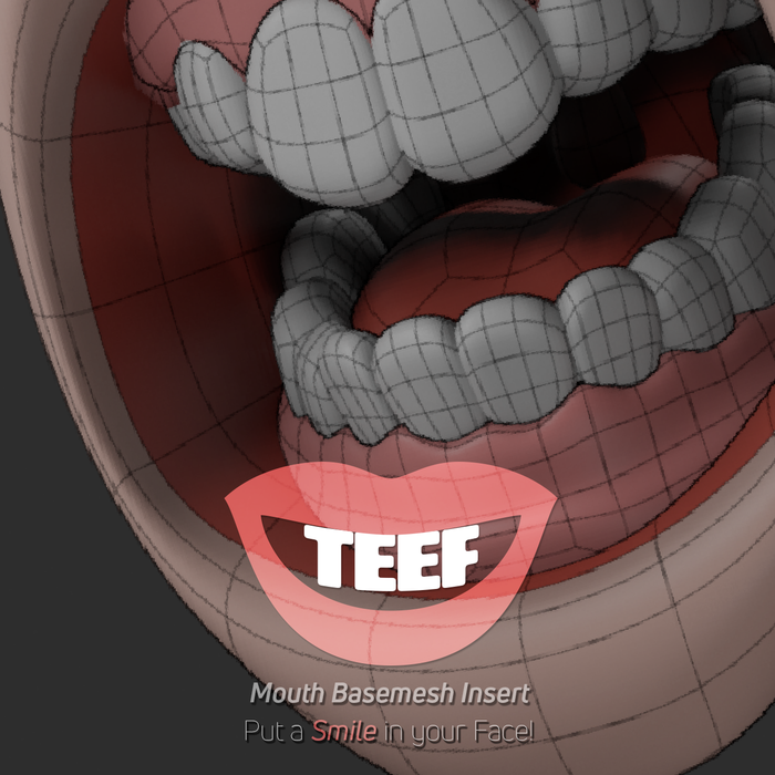 TEEF: Mouth Cavity Base Mesh Insert