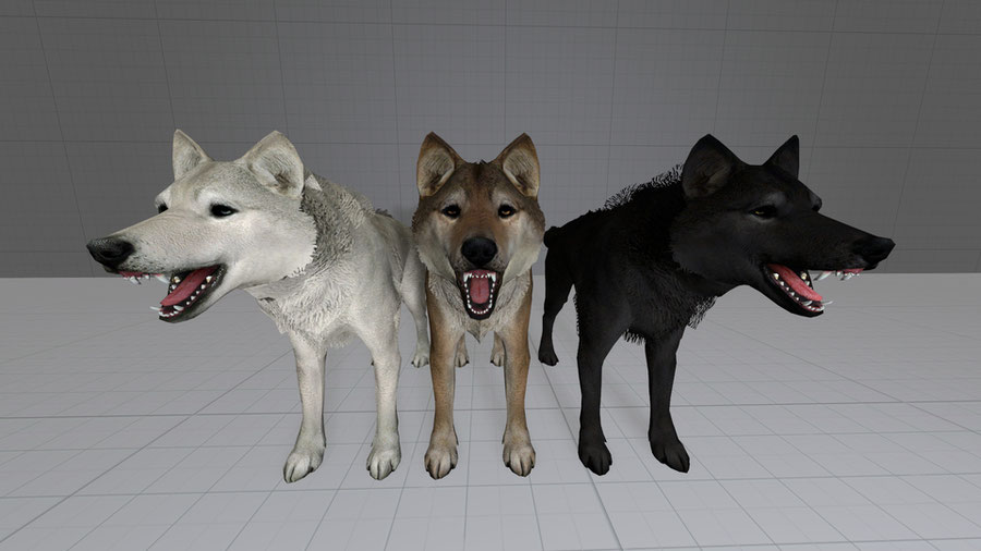 True Wolves of Skyrim Port