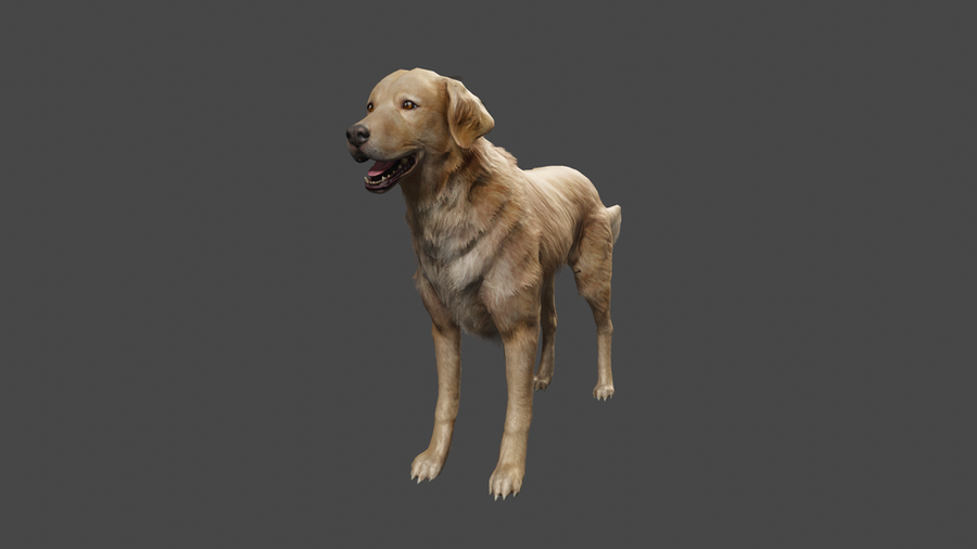Fallout 4 - Dog models