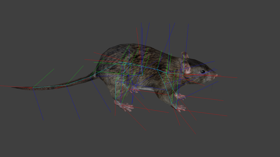 Rat [GTA V]