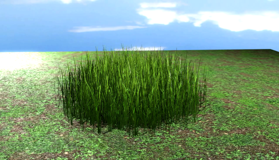 Barbell Grass System V1