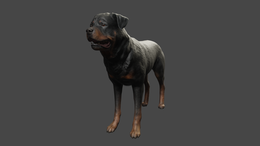 Fallout 4 - Dog models