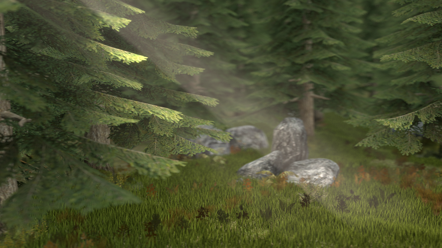 Forest Scene - Map