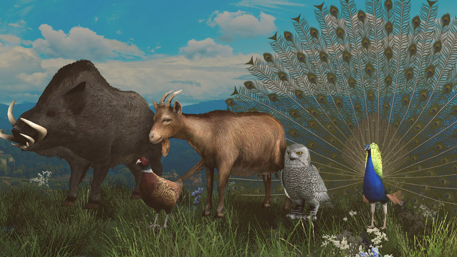 instal the new for ios Hunting Animals 3D
